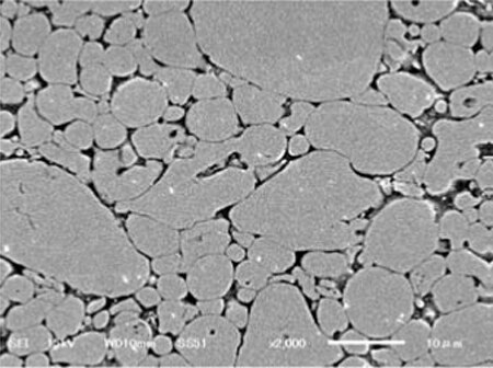 Taiyo Yuden’s new metal magnetic compacted power material Image of Taiyo Yuden’s new metal magnetic compacted power material