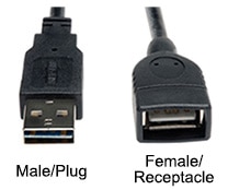 Male/plug and female/receptacle USB Type A connectors Image of male/plug and female/receptacle USB Type A connectors