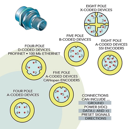 M12 connectors come in various pin counts and coded pin assignments L'immagine dei connettori M12 è disponibile in vari conteggi di pin e assegnazioni di pin codificati