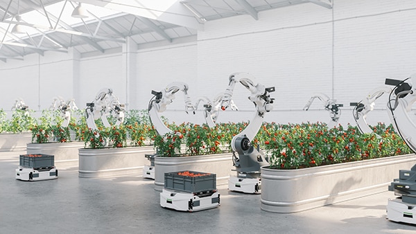 Wireless connectivity is key to coordinating material handling and collaborative robotic tasks תמונה של חיבוריות אלחוטית שהיא המפתח לתיאום טיפול בחומרים ומשימות רובוטיקה שיתופית