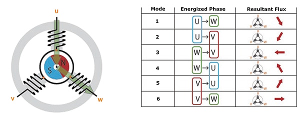 Stator poles of the BLDC motor (click to enlarge) Diagram of stator poles of the BLDC motor (click to enlarge)