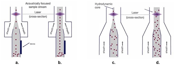 Acoustically focused sample streams and hydrodynamic sample stream (click to enlarge) Diagram of acoustically focused sample streams and hydrodynamic sample stream (click to enlarge)