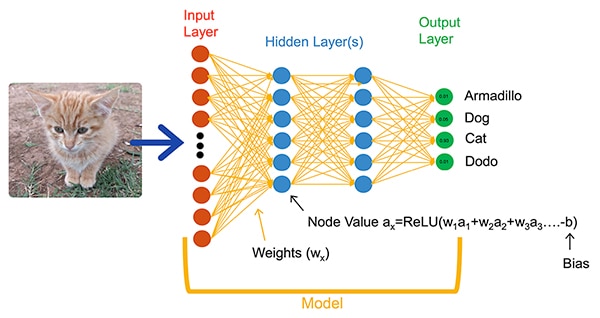 NNs such as this fully connected network classify an input object (click to enlarge) Image of NNs such as this fully connected network classify an input object (click to enlarge)