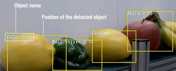 Output from the Renesas RZ/V2L Exemple de résultat du RZ/V2L de Renesas