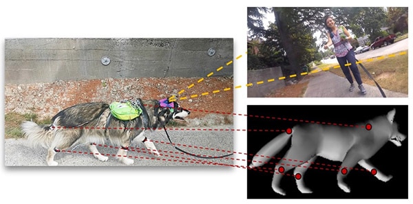 AI Learns How to Act Like a Dog