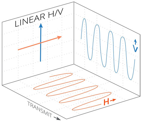 Antenna Polarization: What It Is and Why It Matters