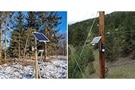 Image of Using IoT-Based Technologies to Combat Wildfires
