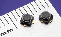 CELs' Small Signal GaAs FETs Immagine dei FET GaAs a piccolo segnale di CEL