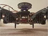 UDOO's Hexapod (Hexapi) Image of UDOO's Hexapod (Hexapi)