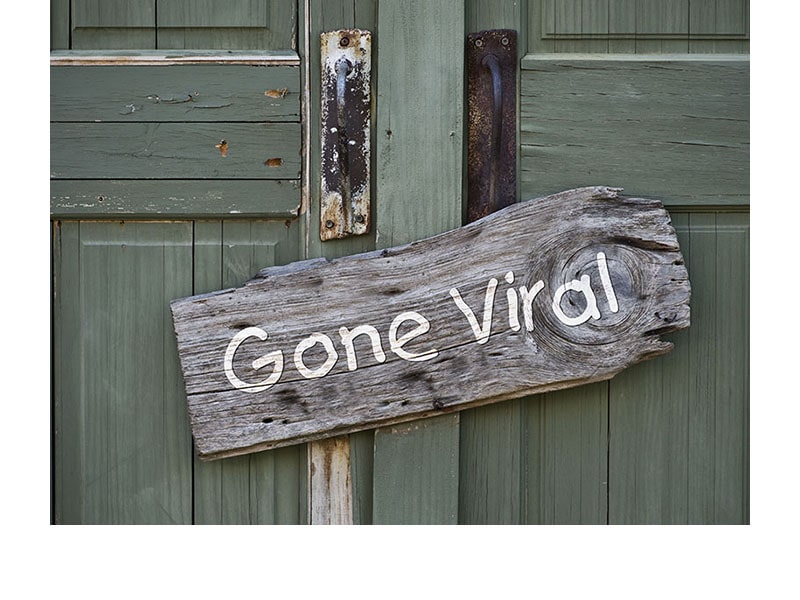 Social Media Will Drive Results Social Media Will Drive Results