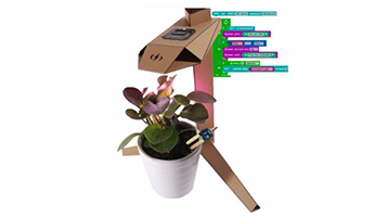 SUSTAINABILITY KIT FOR BEGINNERS image of SUSTAINABILITY KIT FOR BEGINNERS