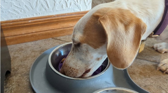 How to Save Your Project with Multiplexing When You Don’t Have Enough GPIO Pins How to Save Your Project with Multiplexing When You Don’t Have Enough GPIO Pins