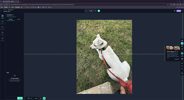 Create a Custom Object Detection Model with Photos Image of Create a Custom Object Detection Model with Photos
