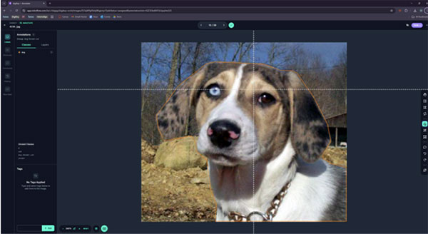 Create a Custom Object Detection Model with Photos Image of Create a Custom Object Detection Model with Photos