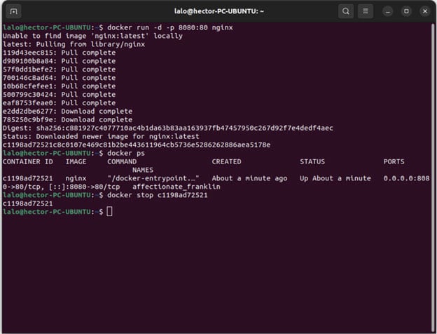 Docker Part 2: Building Your First Container & Best Practices Image of Docker Part 2: Building Your First Container & Best Practices