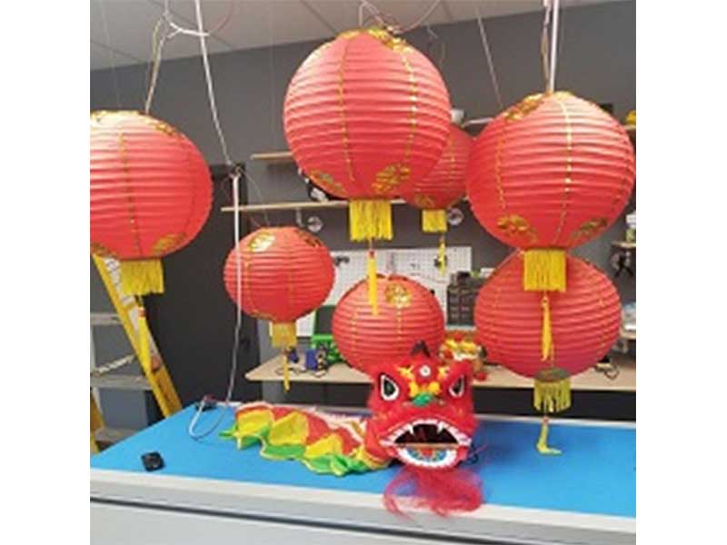 Celebrating a Chinese New Year