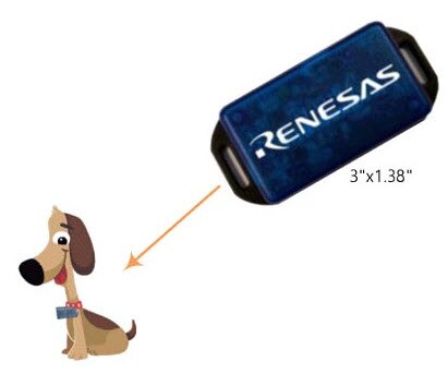 Pet Activity Monitor