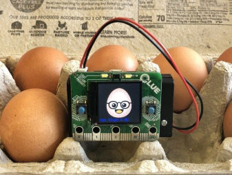 Digital Egg Drop Experiment with CLUE
