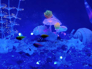 NeoPixel Aquarium with Submersible Lights