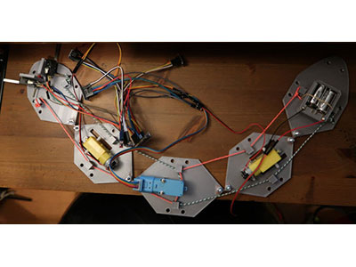 Spring into Summer Ambassador Competition: Robotic Banana Slug–Part 3