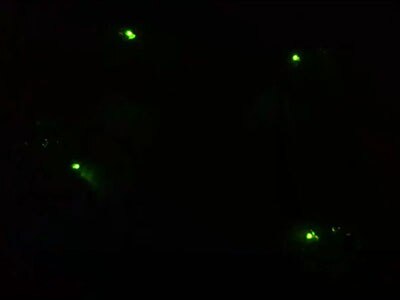 Fireflies with MakeCode