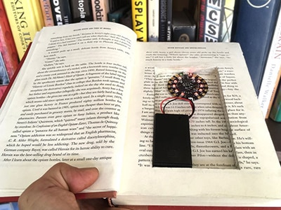 Secret Hollow Book Intrusion Detector