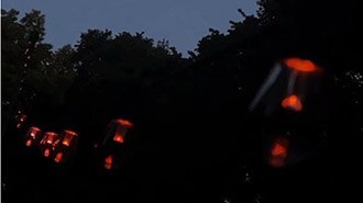 Programmable 12v Outdoor Cafe Lights
