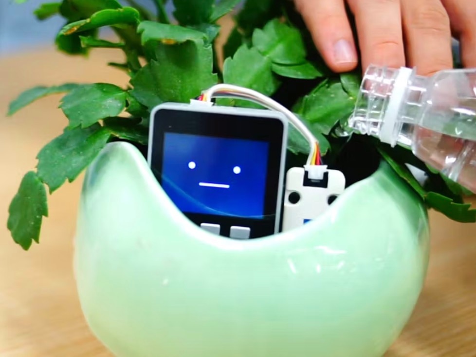 Do Plants Have Feelings?