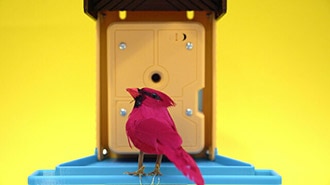 IoT Bird Feeder with Camera