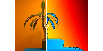 LiDAR camera returns RGB (left), and bitmap image (right) that represents distance from the camera.