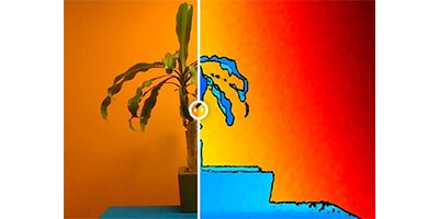 LiDAR camera returns RGB (left), and bitmap image (right) that represents distance from the camera.