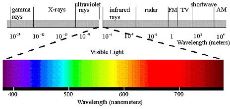 Visible light on the electromagnetic spectrum