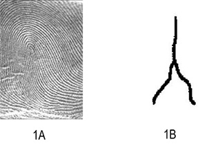 Image of Bit-plane separation of an image
