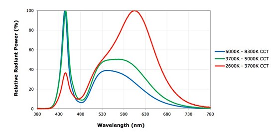 Image of relative spectral emissions for Cree white LEDs