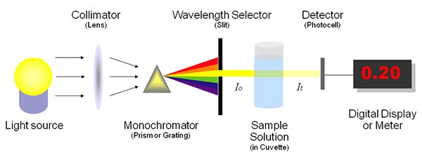 Diagram of typical spectrophotometer