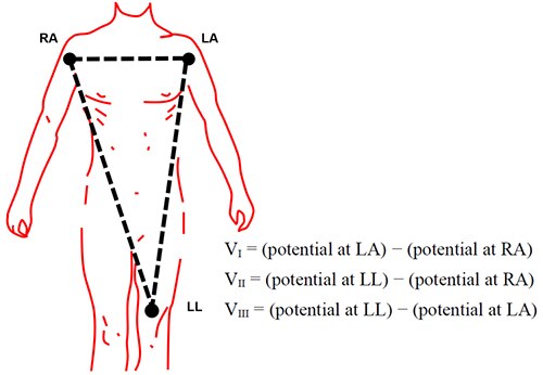人體的許多部位都能偵測到 ECG 訊號的示意圖
