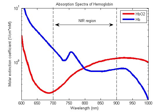 氧合血红蛋白 (HbO2) 与脱氧血红蛋白 (Hb) 的吸收光谱差异图