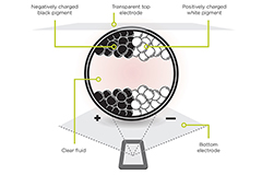 LEDs, E-paper, Gestures for Low-Power HMIs | DigiKey