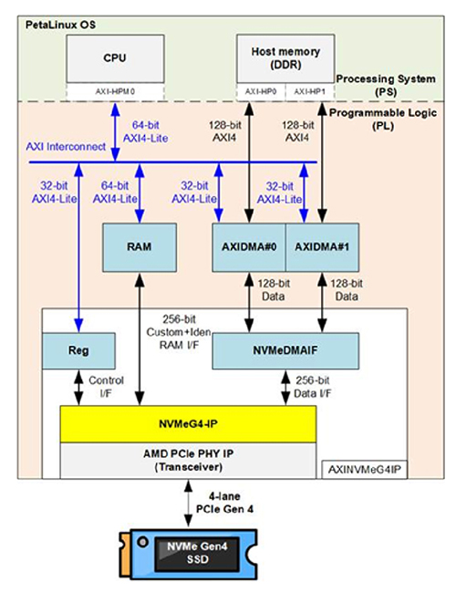PetaLinux 公版設計文件中的 NVMeG4-IP DMA 圖片