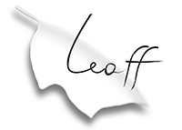 Image of Leaff Engineering Srl