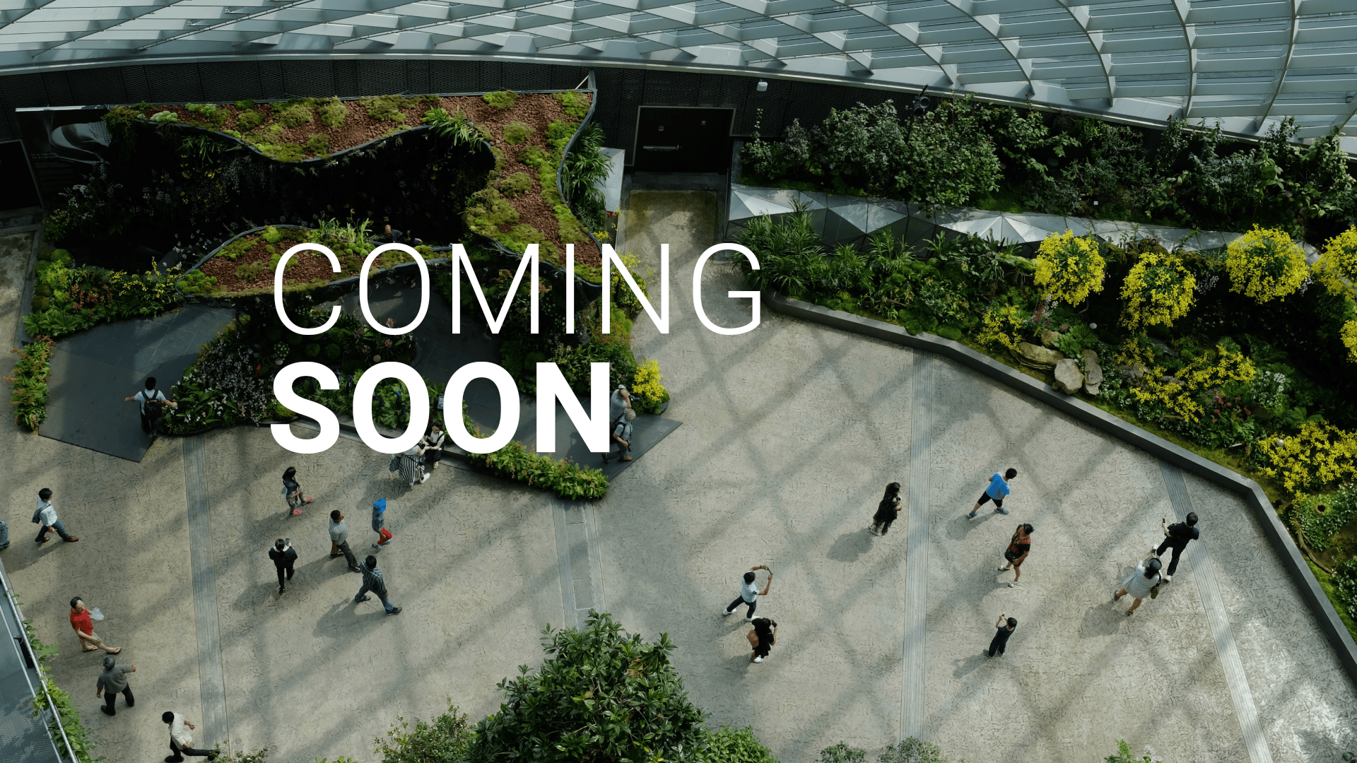 人们漫步室内植物园的俯瞰图