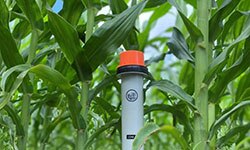 Image of Growing Season: The Supply Chain Path Behind Smart Soil Solutions