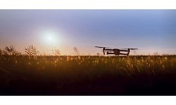 Image of Agrartechnologie ermöglicht höhere Erträge auf kleineren Flächen