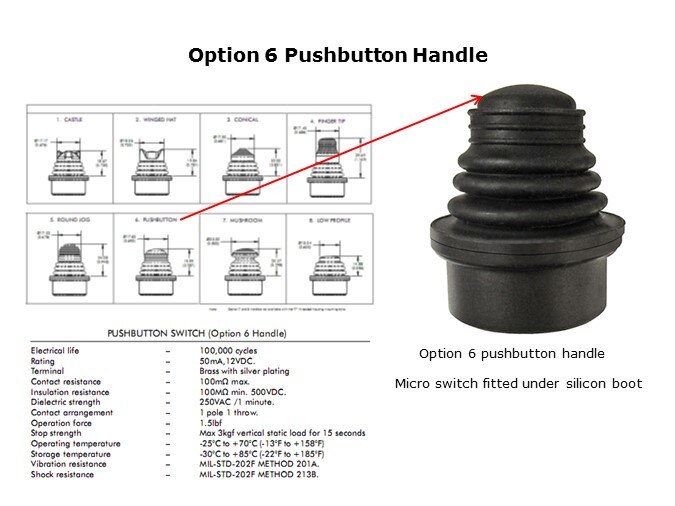 opt 6