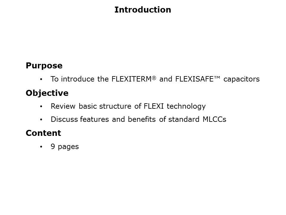 flexiterm-slide1