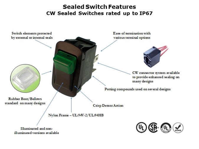 IPSwitches-Slide13