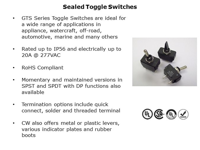 IPSwitches-Slide15