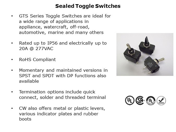 IPSwitches-Slide15