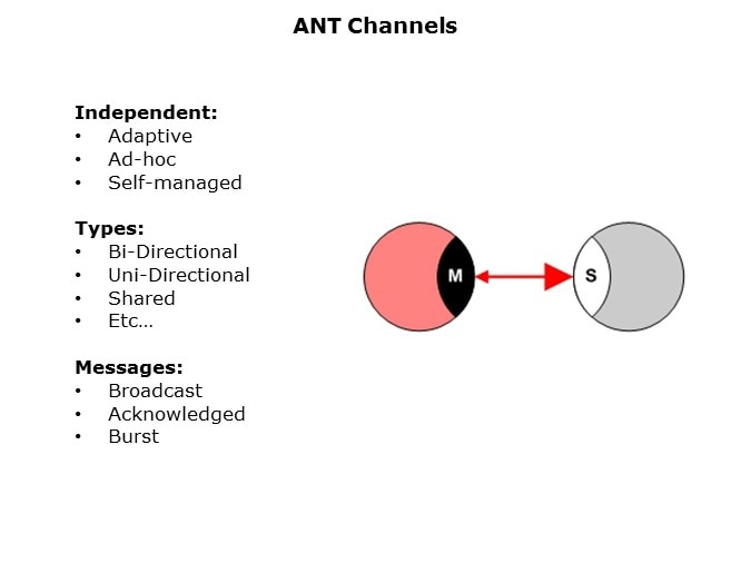 ANT-Slide16