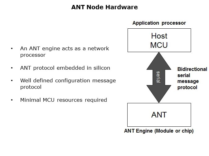 ANT-Slide5